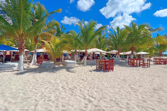 Cozumel: Shore Excursions for Royal Caribbean Cruise Passengers - Group Size Limits and Why That Keeps Things Calm