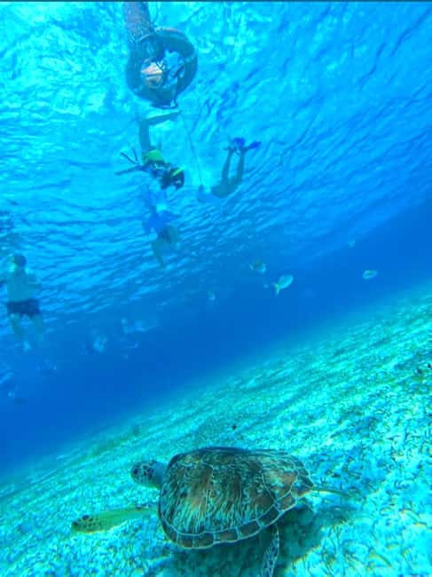 Cozumel: snorkeling on reefs + visit to "El Cielo" - Reef Snorkeling on Cozumel: What You’re Really Paying For