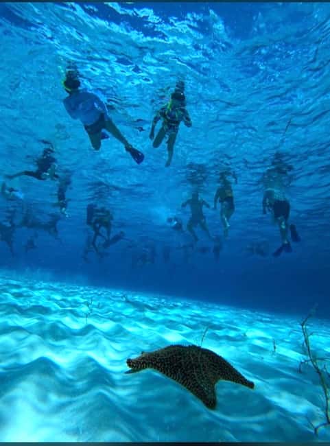 Cozumel: snorkeling on reefs + visit to "El Cielo" - Key Points at a Glance