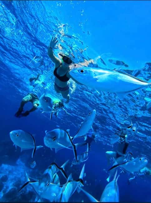 Cozumel: snorkeling on reefs + visit to "El Cielo" - Palancar and Columbia Reefs: The Main Show Underwater