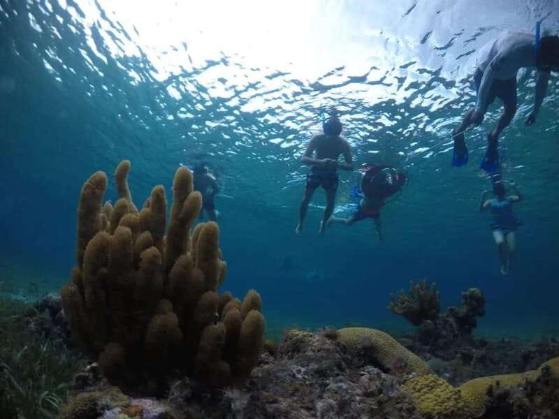 Cozumel: snorkeling on reefs + visit to "El Cielo" - El Cielo (The Sky) Sandbar: Starfish and the Manta-Ray Etiquette