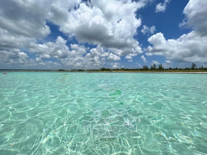 Cozumel: snorkeling on reefs + visit to "El Cielo" - Tips for a Smoother Day on Cozumel