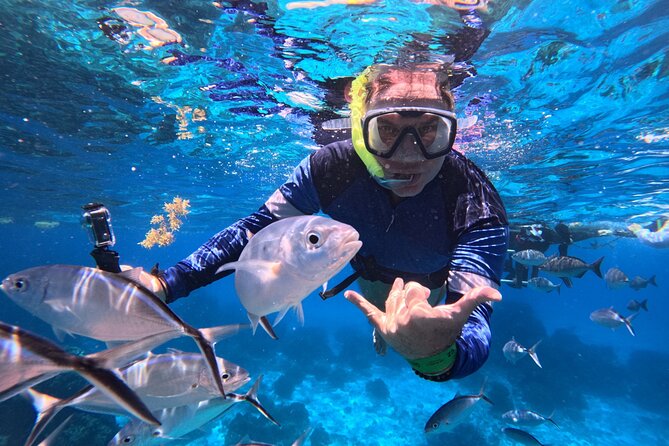 Cozumel Snorkeling Reef Experience with Ceviche and Beers - Key Highlights You’ll Actually Care About
