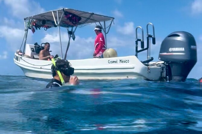 Cozumel Snorkeling Reef Experience with Ceviche and Beers - Snorkeling Stop Two: Palancar Reef for More Coral Time