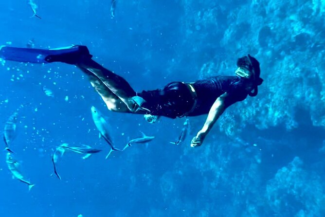 Cozumel Snorkeling Reef Experience with Ceviche and Beers - Playa El Cielo Starfish Time (and the Weather Plan)