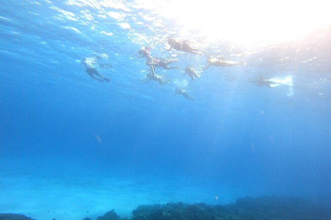 Cozumel Snorkeling Reef Experience with Ceviche and Beers - Ceviche, Totopos, and Beers: The Finish That Feels Like a Real Meal