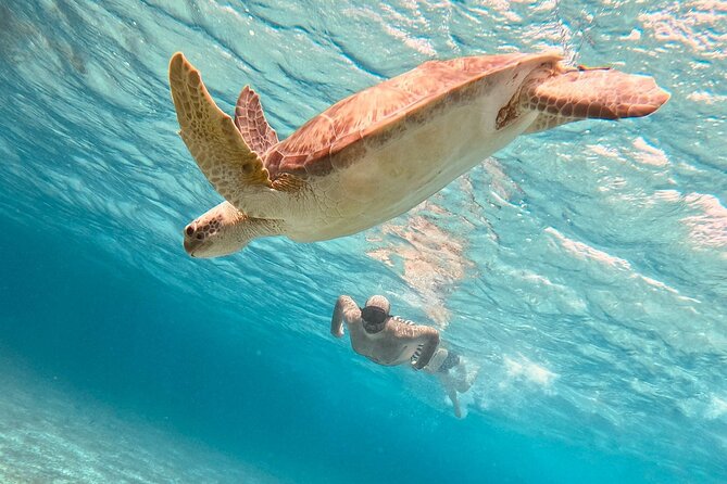 Cozumel: Snorkeling to El Cielo & Cielito with drinks & Snack - Key things to know before you go