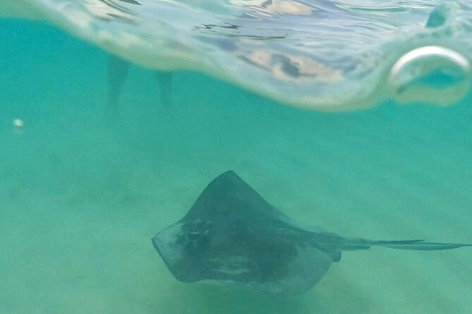 Cozumel: Snorkeling to El Cielo & Cielito with drinks & Snack - Cozumel snorkeling that connects three worlds: Palancar, El Cielo, and Cielito
