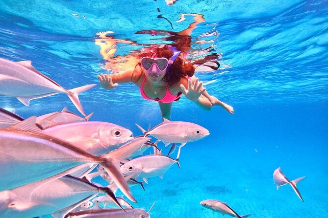 Cozumel: Snorkeling to El Cielo & Cielito with drinks & Snack - Palancar Reef: a calm start with real reef life