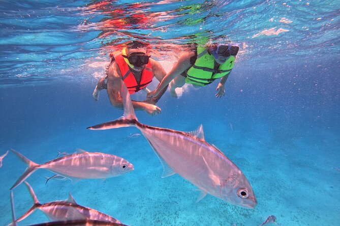 Cozumel: Snorkeling to El Cielo & Cielito with drinks & Snack - What can go wrong on a sea day: crowds, rushing, and drink surprises