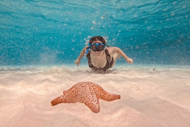 Cozumel: Snorkeling to El Cielo & Cielito with drinks & Snack - Price and what you actually get for $65.46