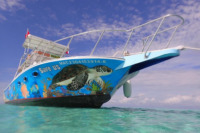 Cozumel Snorkeling Tour at Palancar & Colombia Reefs and El Cielo - Meeting Point and How the Afternoon Actually Starts