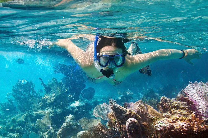 Cozumel Snorkeling Tour at Palancar & Colombia Reefs and El Cielo - Price and the $13 Marine Fee: What You’ll Pay in Real Life