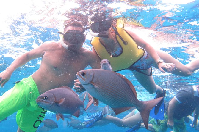 Cozumel Snorkeling Tour at Palancar & Colombia Reefs and El Cielo - Stop Three: Playa El Cielo and the Starfish Moment