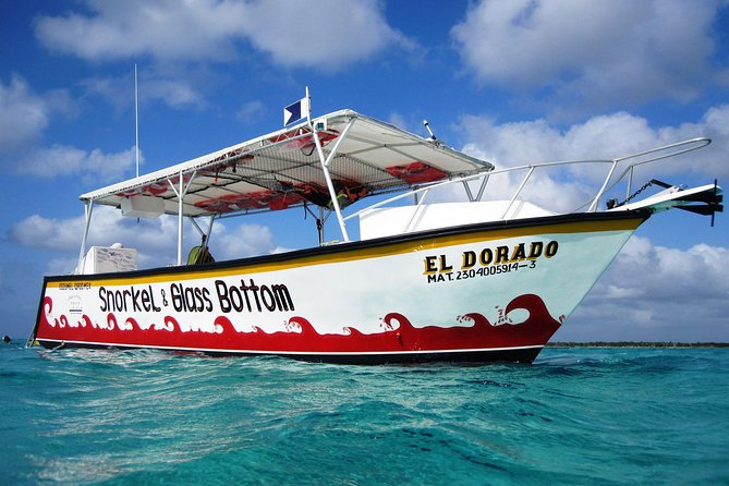 Cozumel Snorkeling Tour at Palancar & Colombia Reefs and El Cielo - Drinks and Snacks: The Part That Keeps Everyone Smiling