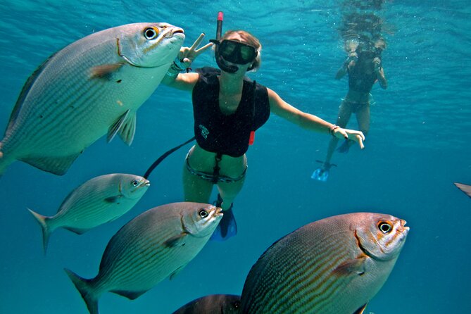 Cozumel Snorkeling Tour: Palancar, Columbia and El Cielo Reefs - Key Highlights You’ll Actually Care About