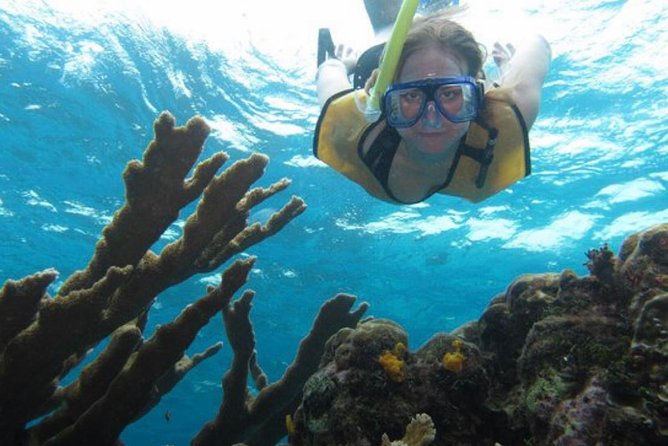 Cozumel Snorkeling Tour: Palancar, Columbia and El Cielo Reefs - Why This 4-Hour Cozumel Snorkel Plan Feels Like a Win