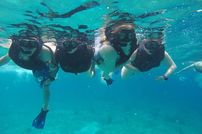 Cozumel Snorkeling Tour: Palancar, Columbia and El Cielo Reefs - More Reef Stops on the Route (And Why That’s Useful)