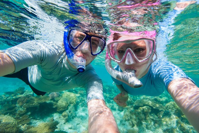 Cozumel Snorkeling Tour to Palancar Reef and El Cielo - Getting to the water fast: meeting point, schedule, and group size