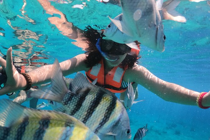 Crystal Boat Tour with Snorkeling and Drinks in Cozumel - Clear Boat Cruising in Cozumel: Seeing Reef Life Without Guesswork