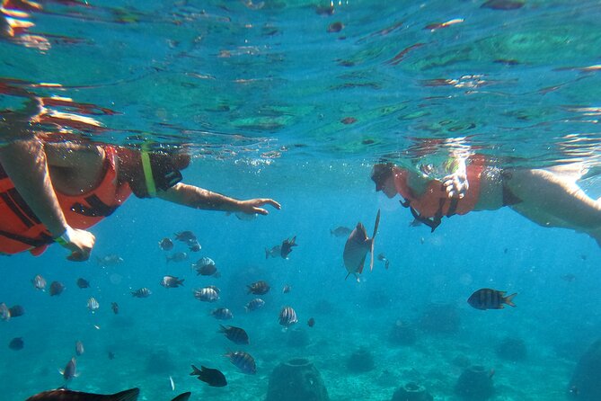 Crystal Boat Tour with Snorkeling and Drinks in Cozumel - Value Check: Why $47.61 Can Make Sense in Cozumel