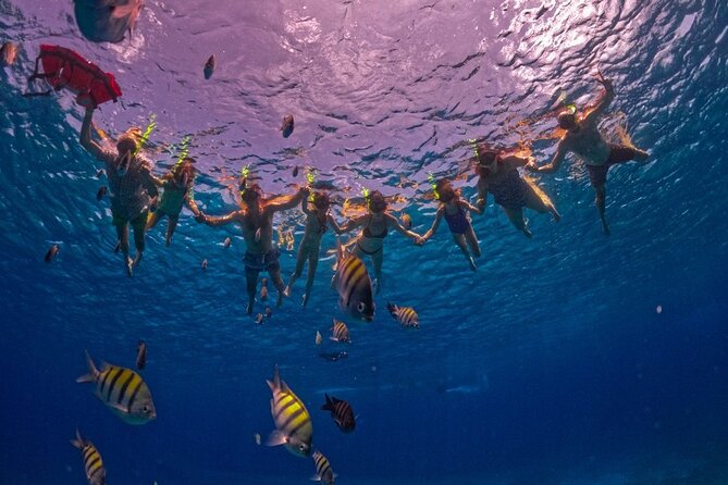 Crystal Boat Trip and Snorkeling Tour from Cozumel - Photo Costs and the Best Way to Handle Them