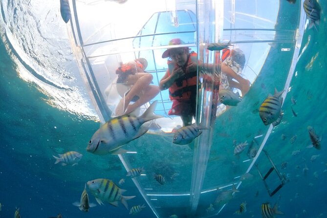 Discover Cozumel in a Transparent Boat! - Key points at a glance