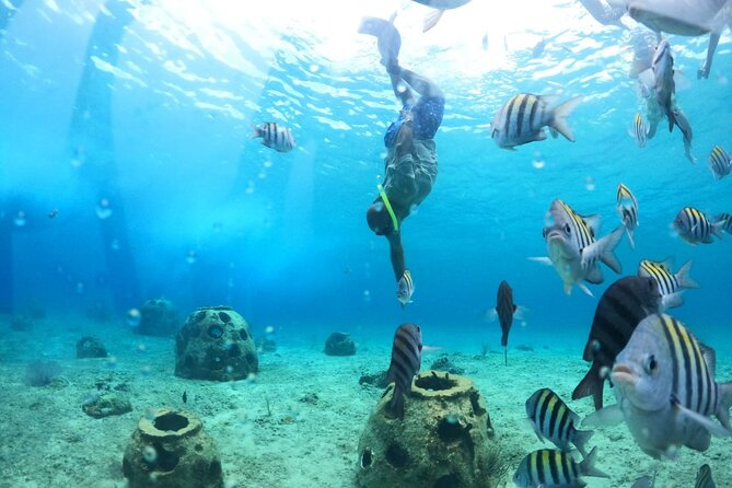Discover Cozumel in a Transparent Boat! - Southern Cozumel Snorkeling: A Short Guided Stop at Legos Reef