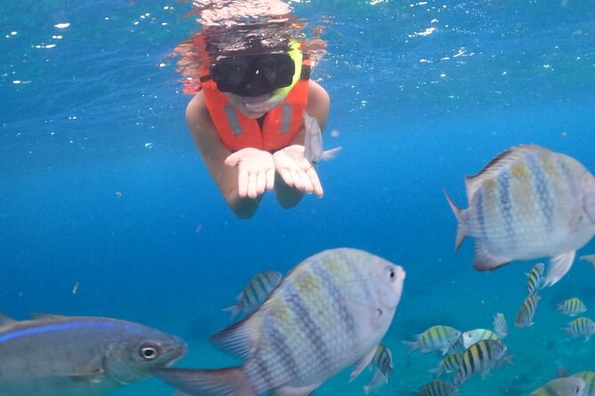 Discover Cozumel in a Transparent Boat! - Price and Value: $24.90 + the 180 MXN You’ll Still Pay