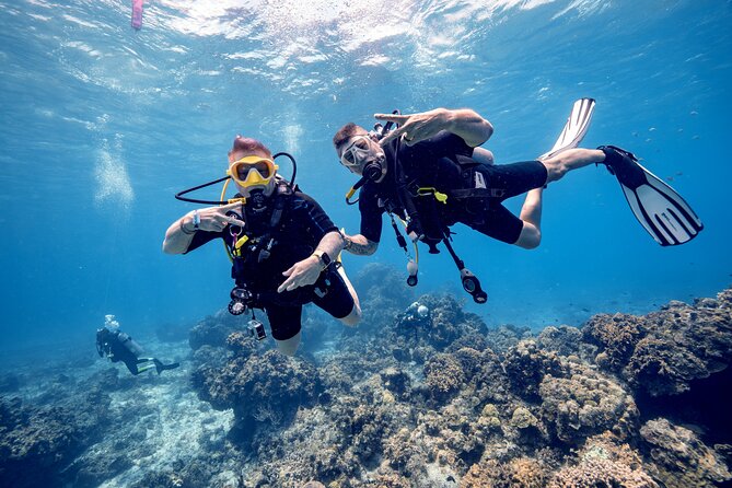 Discover Diving in the Reefs of Cozumel - From theory to beach (or pool): how the coaching works