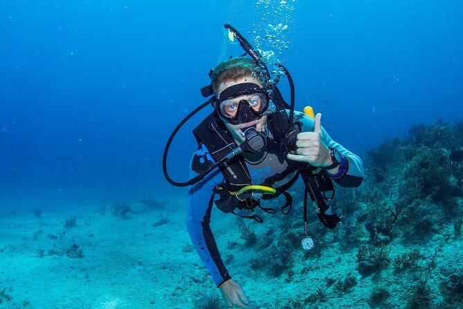 Discover Scuba Diving at Cozumel Marine Park - Why Cozumel’s marine park setup works for new scuba skills