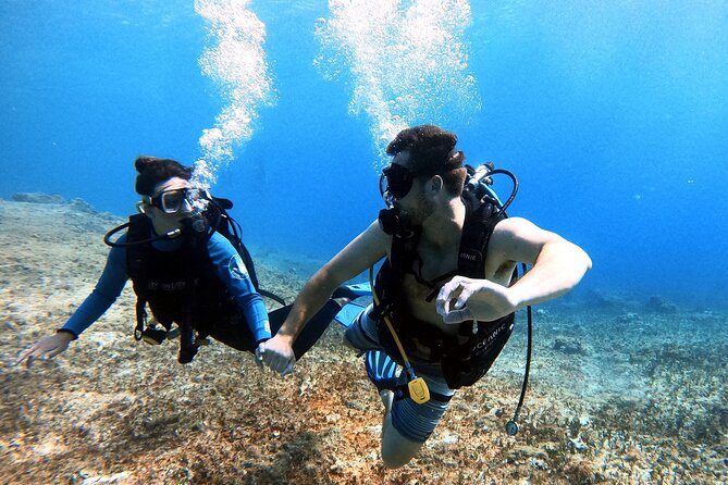 Discover Scuba Diving in Cozumel - Key Highlights at a Glance
