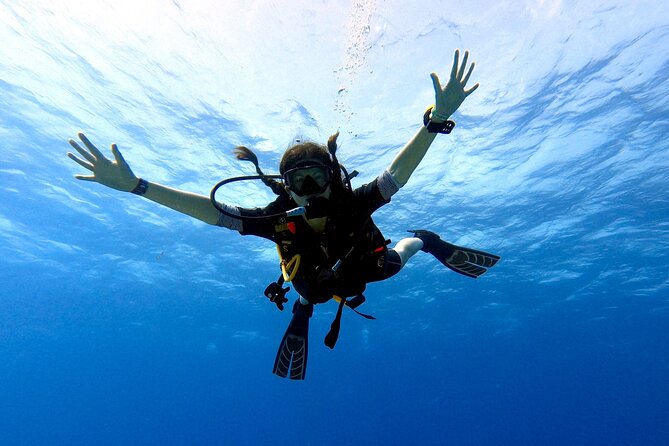 Discover Scuba Diving in Cozumel - Who this experience is best for in Cozumel