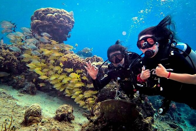 Discover Scuba Diving in Cozumel Paradise Reef - Who Should Book This Cozumel Intro Scuba Experience