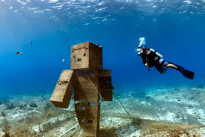 Diving For People Without Experience - Price and Value: What You’re Really Paying For