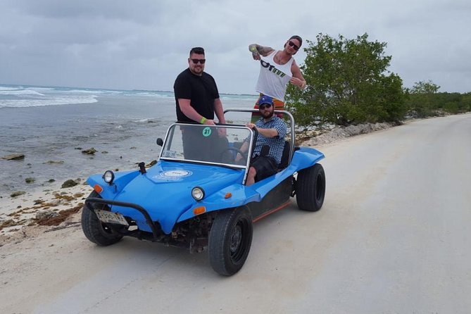Dune Buggy Adventure, Snorkel, Mayan Town, East Coast, Tequila and City Tour - Key highlights worth knowing