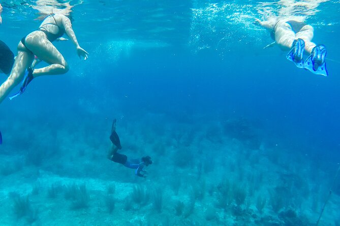 E-bike West Coast Snorkeling Tour - Price and Value: Is $73 a Smart Deal?