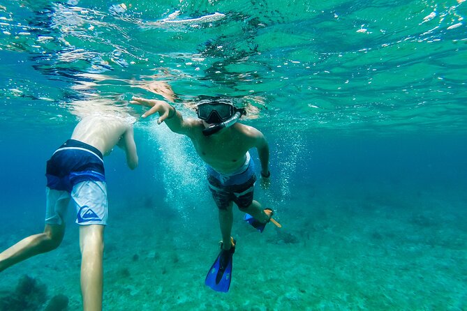 E-bike West Coast Snorkeling Tour - What the Reviews Reveal About the Day (The Good and the Real)
