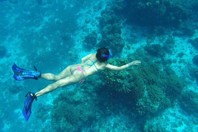 El Cielo and Snorkel Private Excursion - The boat, gear, and crew: drinks included and guide support that matters