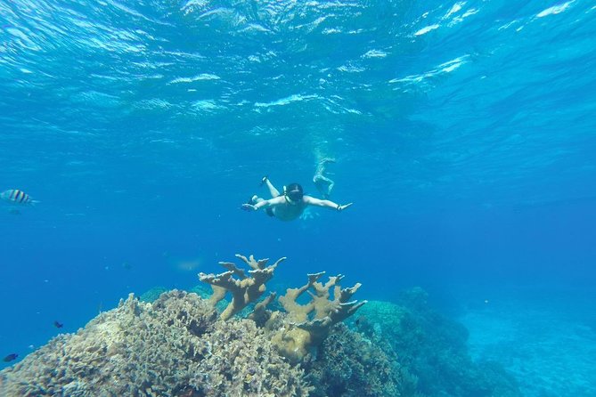 El Cielo and Snorkel Private Excursion - Price and group size: is $750 per group worth it?