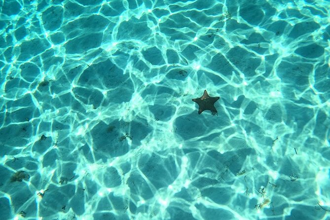 El Cielo and Snorkeling for Cruise Ship Passengers - Your snorkel route: El Cielo, Palancar Reef, Colombia, and El Cielito