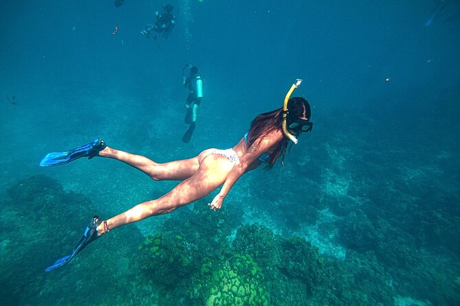 El Cielo Cozumel Snorkel Private Boat + Food + Drinks + Beach - Colombia Reef: multicolored fish and the “keep moving” payoff