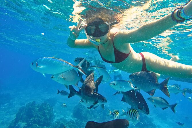 El Cielo Cozumel Snorkel Share Boat + Reefs + Food Drinks + Beach - Stop 1: Palancar Reef National Park and the fish-filled first swim