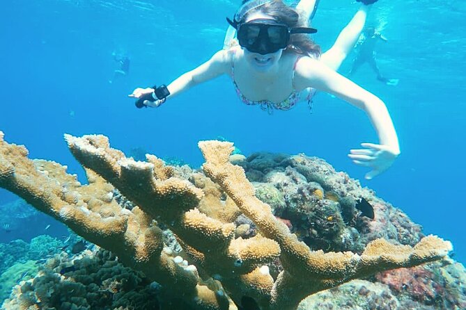El Cielo Cozumel Snorkel Share Boat + Reefs + Food Drinks + Beach - Stop 2: Colombia reef for a focused 30-minute snorkel