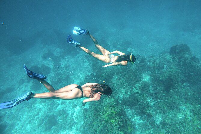 El Cielo Cozumel Snorkel Share Boat + Reefs + Food Drinks + Beach - El Cielo Cozumel: the starfish sanctuary in crystal-clear water