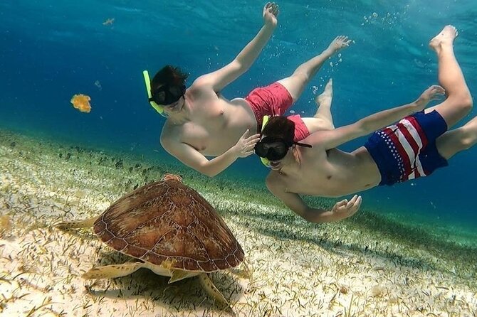 El Cielo Cozumel Snorkel tour by Catamaran - Key points before you go