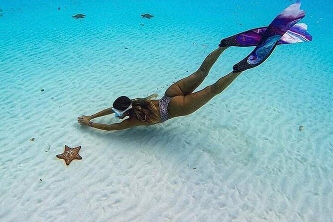 El Cielo Cozumel Snorkeling Tour - All-Inclusive - Who this tour is best for (and who should think twice)