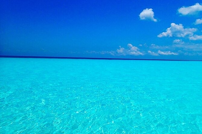 El Cielo Cozumel Snorkeling Tour - All-Inclusive - Should you book this El Cielo snorkeling tour?