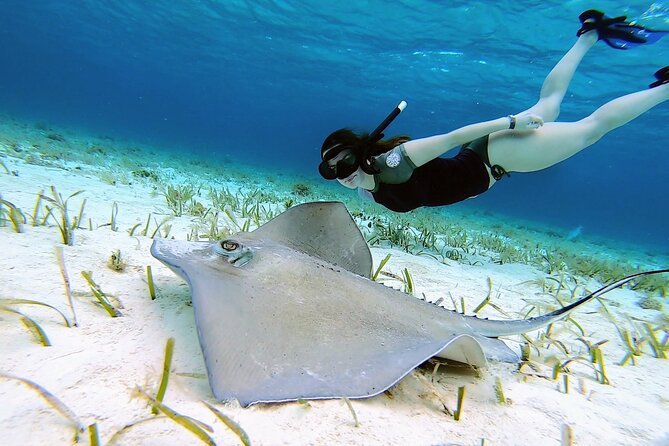 El Cielo Cozumel Snorkeling tour by Private Boat - Why a private boat for El Cielo fits Cozumel so well