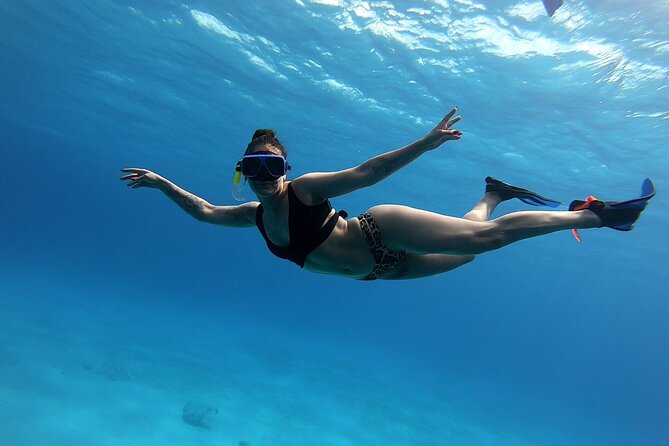 El Cielo Cozumel Snorkeling tour by Private Boat - The 4-hour route: Playa El Cielo to the reefs and back again